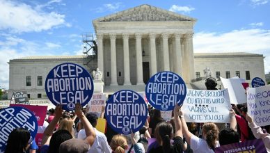 Analyzing the Supreme Court's Role in Shaping American Politics